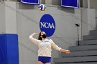 Volleyball vs RWU  Wheaton Women’s Volleyball vs Roger Williams University. : Volleyball, VB